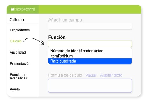 5-Campo-calculo