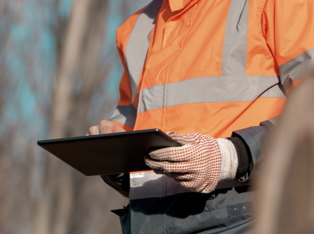 kizeo-optimizar kizeo-optimizar